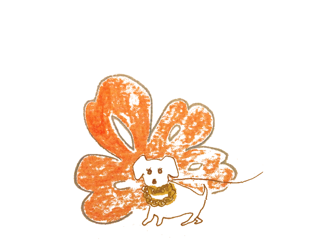縁起を担いだ犬