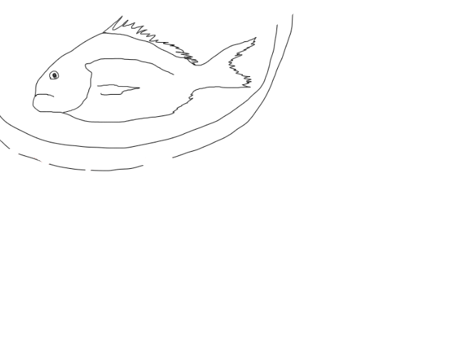鯛