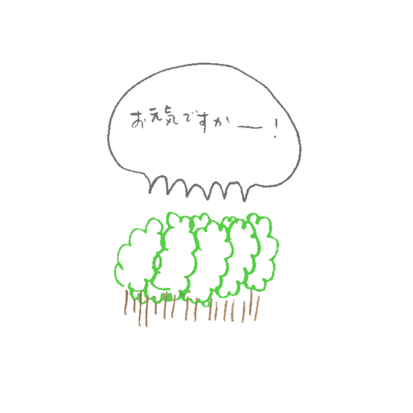 森は生きている