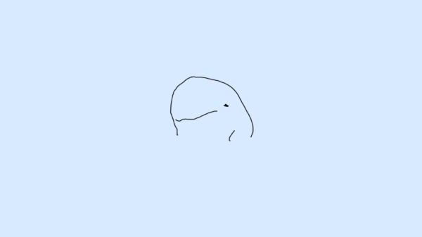 クジラかイルカか