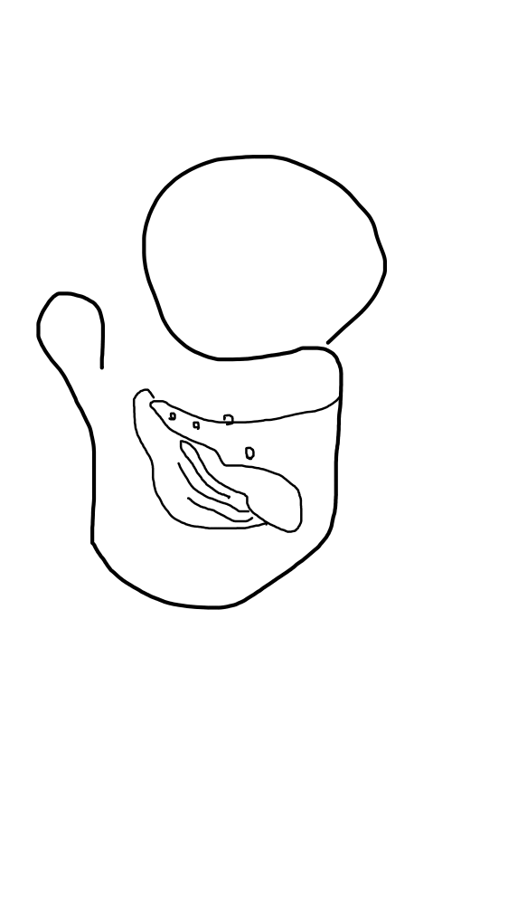鯨のマグカップ